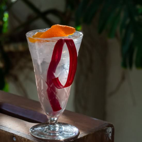 Rhubarb gin fix cocktail - Recipe photo by peck of pickles