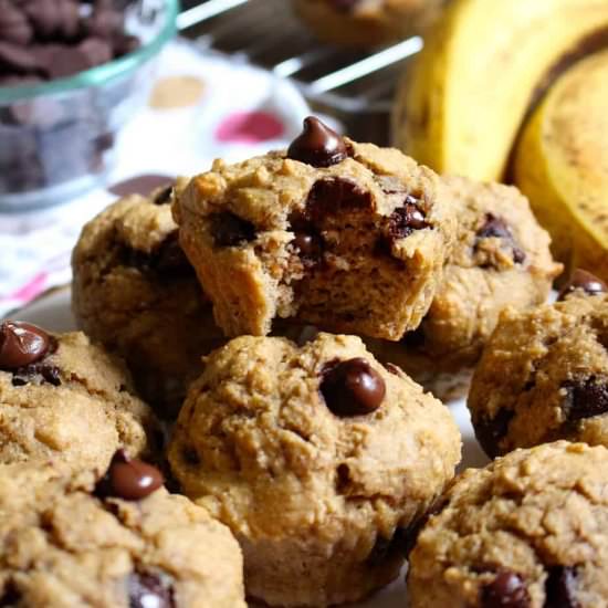 Chocolate Chip Banana Muffins - Recipe photo by frugalnutrition