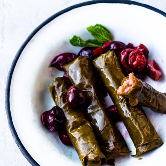 vegan dolmas with cranberries - Recipe photo by Aegean Delight