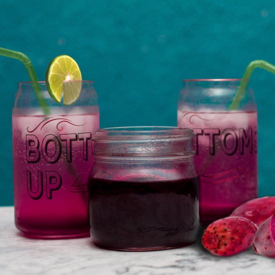 Prickly Pear Juice and Syrup - Recipe photo by HIldaskitchenblog
