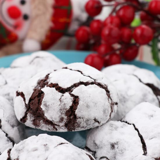 Chocolate Crinkle Cookies - Recipe photo by foxy folksy