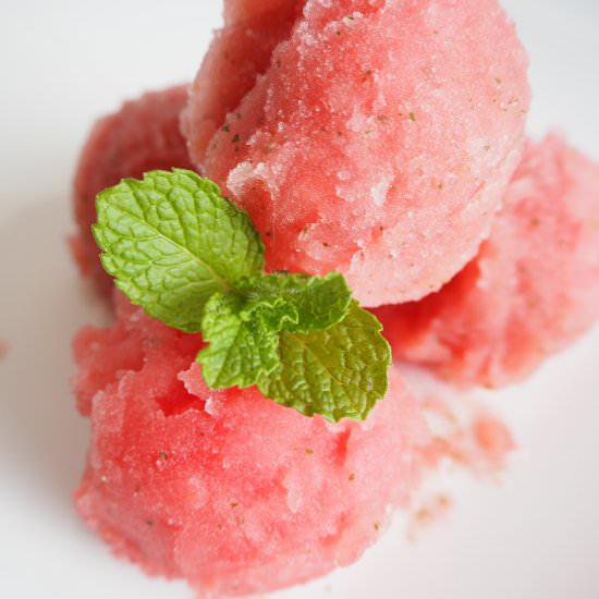 Watermelon and mint sorbet - Recipe photo by Simply_Healthy_Vegan