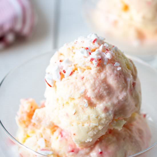 Peppermint Ice Cream - Recipe photo by BeyondtheCoop