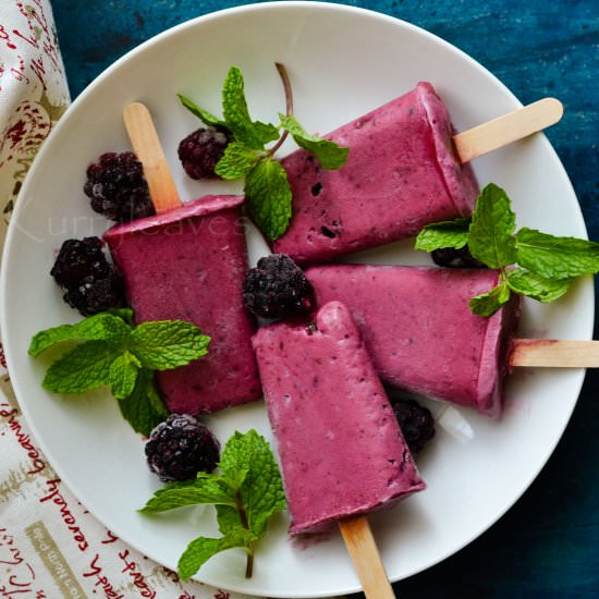 Blackberry Popsicles - Recipe photo by Kurryleaves
