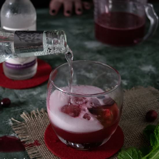 Christmas Cranberry & Ginger Tonic - Recipe photo by LinsFood