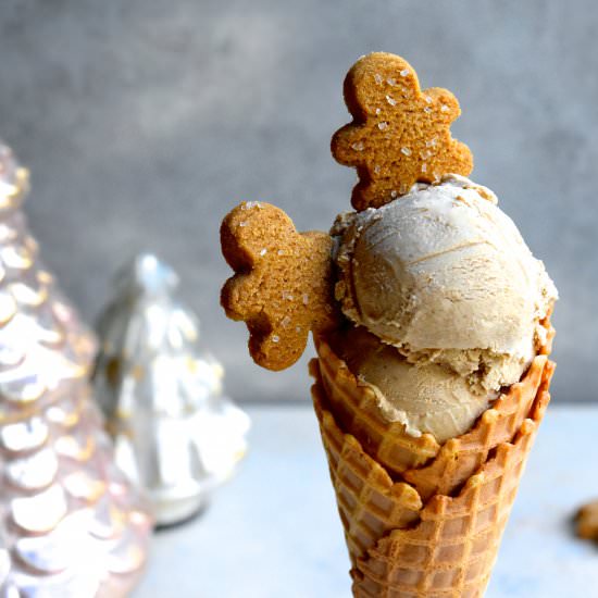 Gingerbread Ice Cream - Recipe photo by toopreciousforprocessed