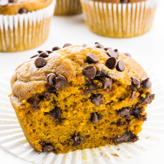 Pumpkin Chocolate Chip Muffins - Recipe photo by NamelyMarly