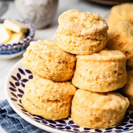 Sweet Potato Biscuits - Recipe photo by foolproofliving.com