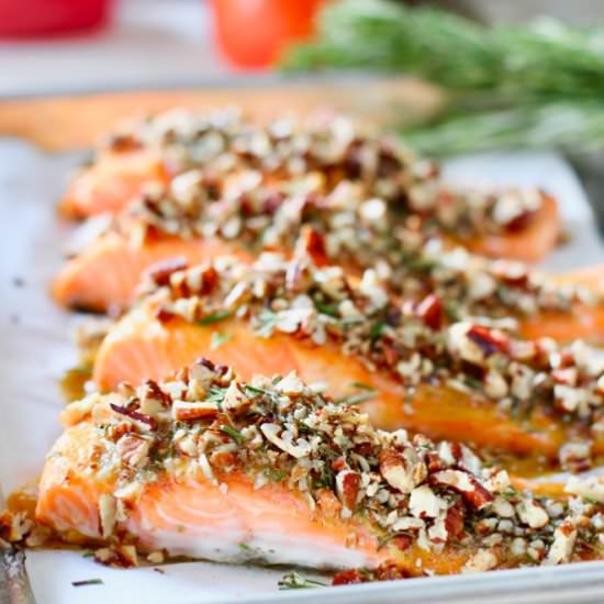 Pecan Crusted Salmon - Recipe photo by laughingspatula.com
