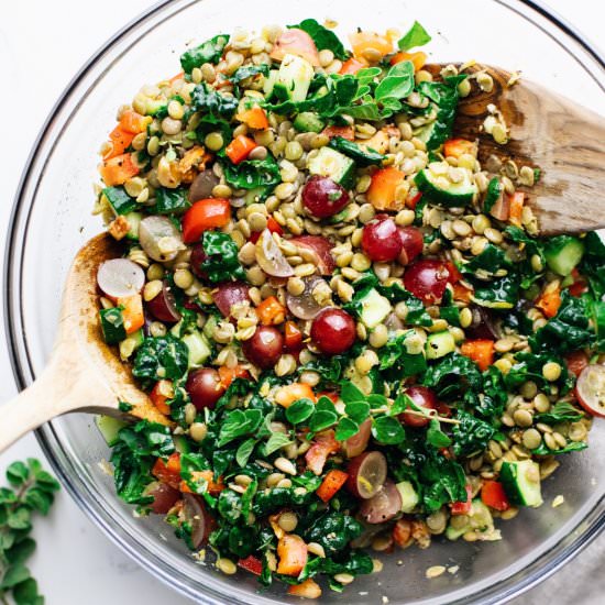 Crunchy Lentil Salad - Recipe photo by asimplepalate