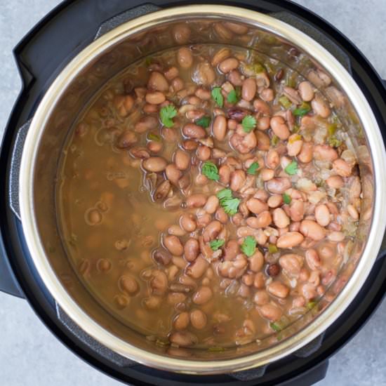 Instant Pot Pinto Beans - Recipe photo by kristines kitchen