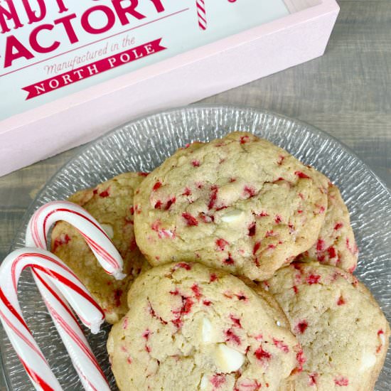 Candy Cane Cookies - Recipe photo by seeingdandy