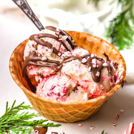 Candy cane fudge ice cream - Recipe photo by ltully