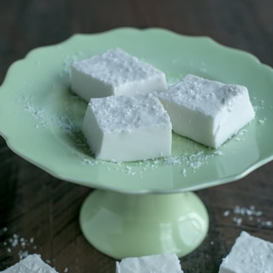Coconut Jelly - Recipe photo by littlebitrecipes