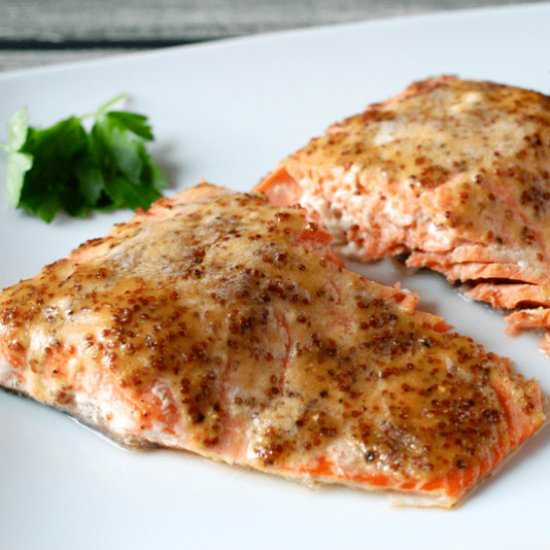 Honey Mustard Baked Salmon - Recipe photo by Cooking Frog