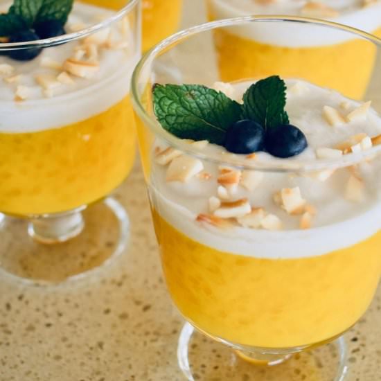 Mango Pudding - Recipe photo by cookingwithnanaling
