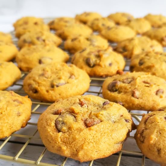 Pumpkin Chocolate Chip Cookies - Recipe photo by rosesandwhiskers