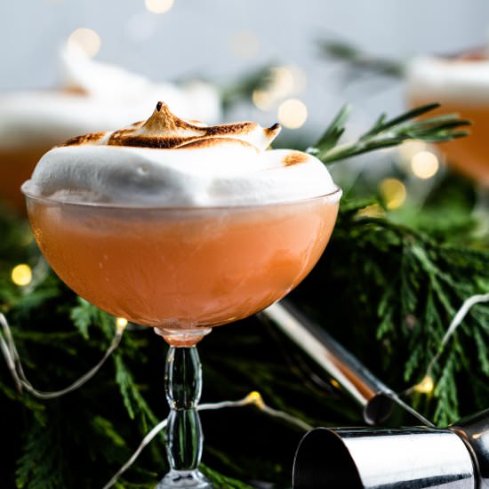 Snowy Paloma - Recipe photo by leisurefanclub