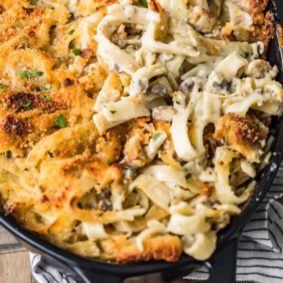 Easy Chicken Tetrazzini! - Recipe photo by the cookie rookie