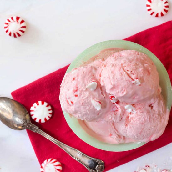 No Churn Peppermint Ice Cream - Recipe photo by onlinepastrychef