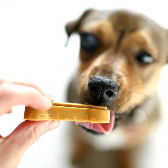 No-Bake Dog Treats - Recipe photo by Delightful Mom Food