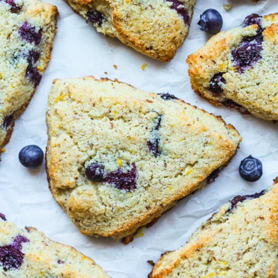 Keto Lemon Blueberry Scones - Recipe photo by StemandSpoon
