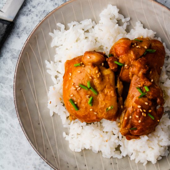 Instant Pot Honey Garlic Chicken - Recipe photo by KeepingItRelle