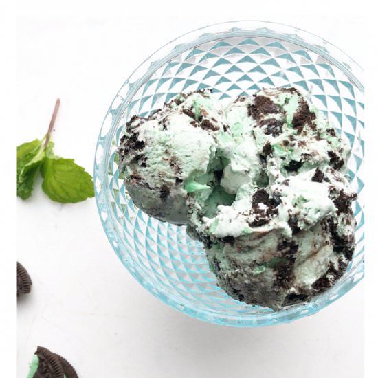 Dairy Free Mint Chocolate Chip - Recipe photo by MoreMomma