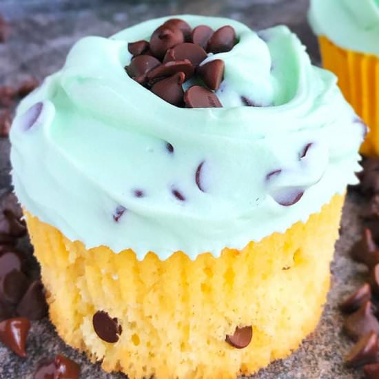 Chocolate Chip Cupcakes - Recipe photo by Cakewhiz