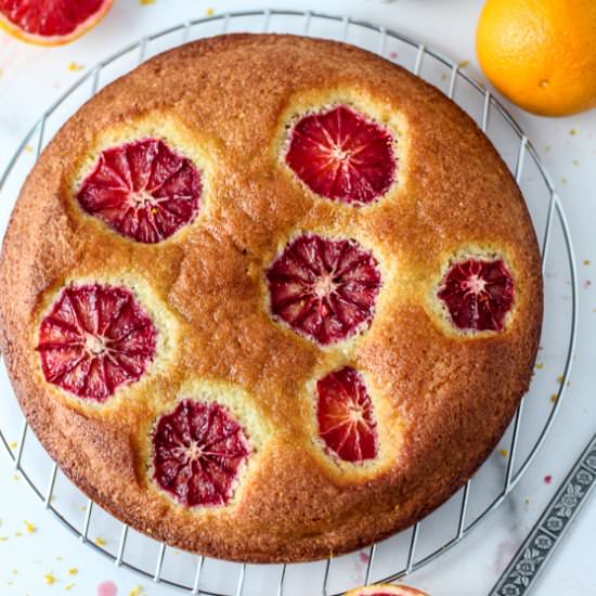 Blood Orange Olive Oil Cake - Recipe photo by parsleyandicing