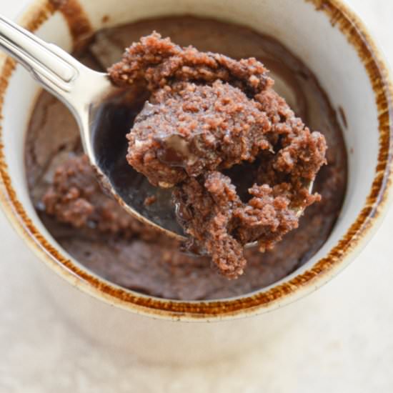 FREE OF EVERYTHING MUG BROWNIE - Recipe photo by Healthy Delish