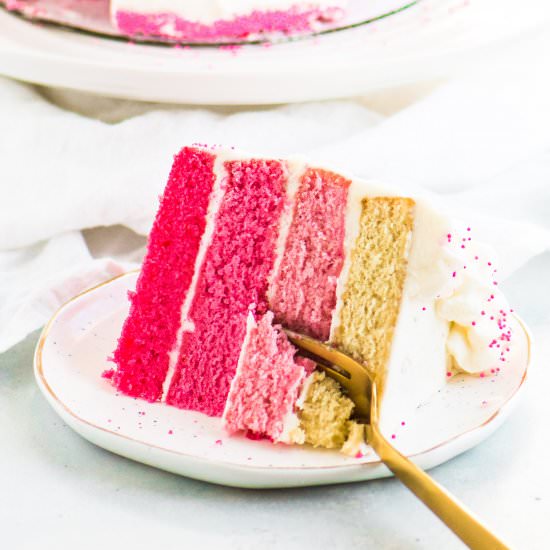 Pink Ombré Cake - Recipe photo by theitsybitsykitchen