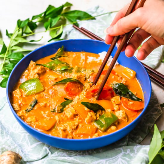 Vegetarian panang curry - Recipe photo by ltully