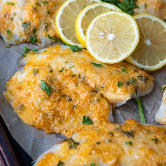 Parmesan Crusted Tilapia - Recipe photo by MamaGourmand
