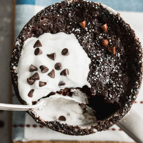 EASY PALEO CHOCOLATE MUG CAKE - Recipe photo by healthyfitnessmeals