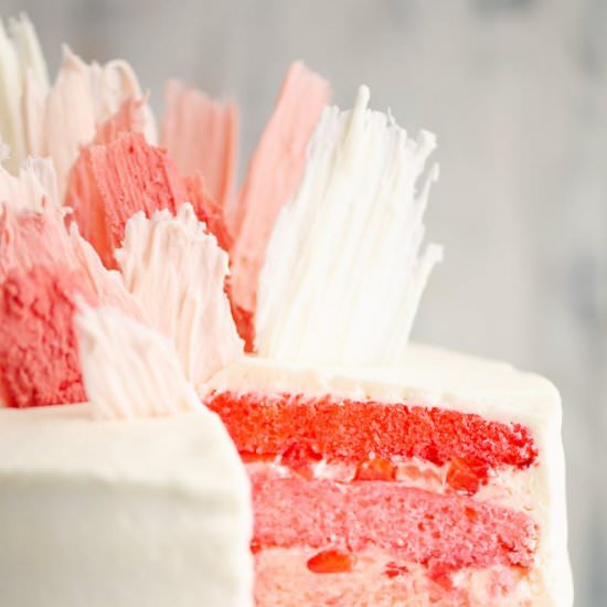 Strawberry Ombre Cake - Recipe photo by The Creative Bite