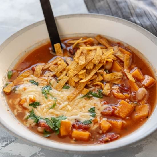 Instant Pot Veggie Tortilla Soup - Recipe photo by garnishedplate