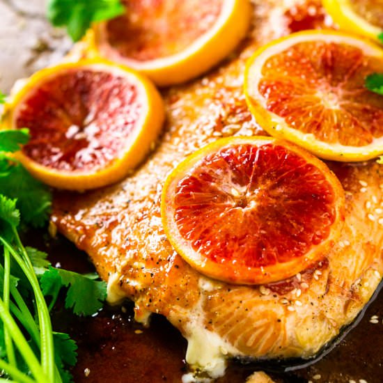 Slow-Roasted Blood Orange Salmon - Recipe photo by Burrata and Bubbles