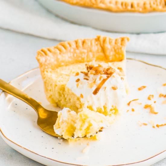 Coconut Custard Pie - Recipe photo by theitsybitsykitchen