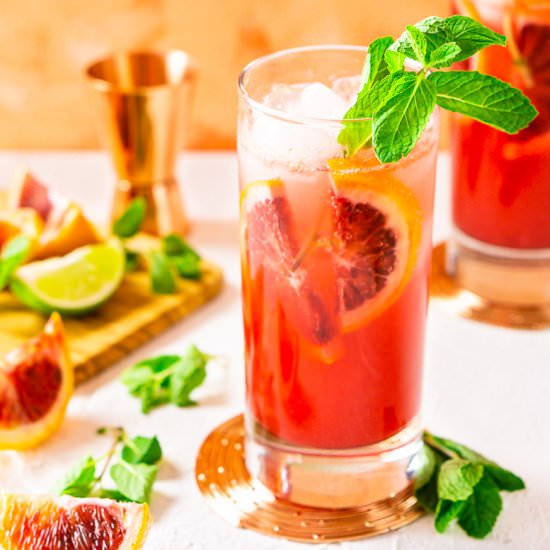 Blood Orange Mojito - Recipe photo by Burrata and Bubbles