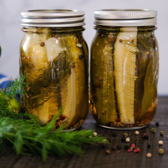 Homemade Zesty Dill Pickles - Recipe photo by Everyday Gourmet with Blakely