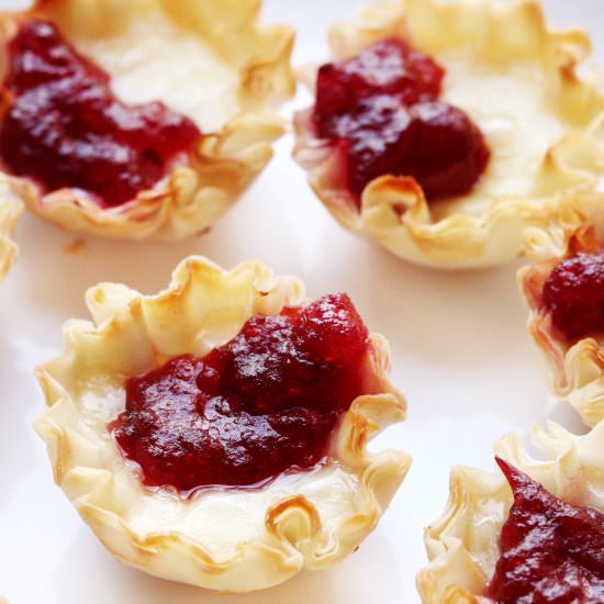 Brie & Cranberry Tarts - Recipe photo by Donut Worry Be Healthy