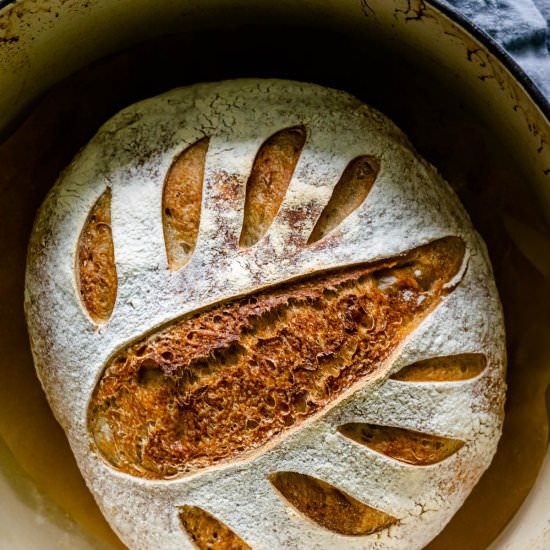 Sourdough Culture How-To - Recipe photo by gatheredatmytable