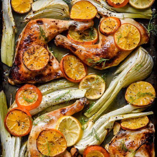 Clementine Roast Chicken & Fennel - Recipe photo by pardon your french