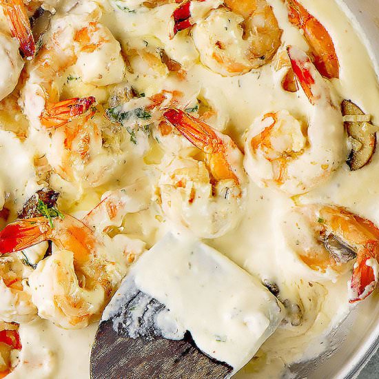 SHRIMP ALFREDO - Recipe photo by Chefjar