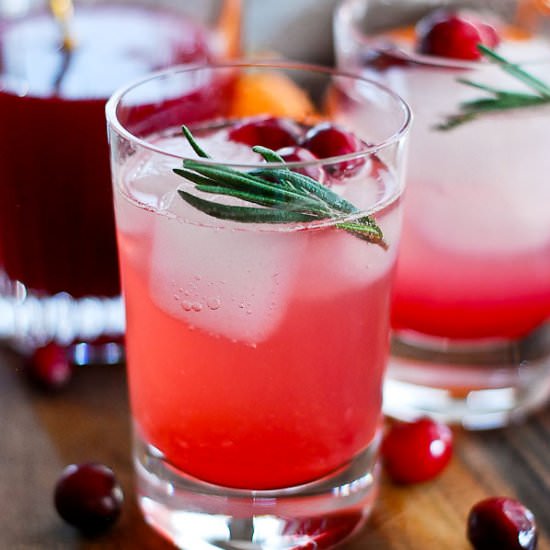 Cranberry Orange Shrub Mocktail - Recipe photo by Front Range Fed
