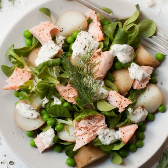 Salmon, Potato & Horseradish salad - Recipe photo by littlesugarsnaps