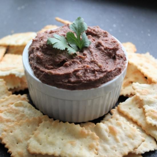 Tangy Black Bean Dip - Recipe photo by MyRecipeReviews