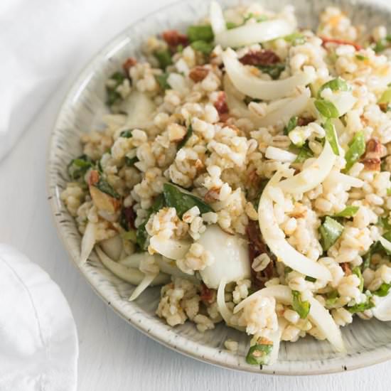 Barley and Sweet Onion Salad - Recipe photo by infinebalance