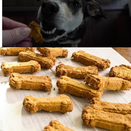 Oatmeal and Pumpkin Dog Biscuits - Recipe photo by debsdailydish